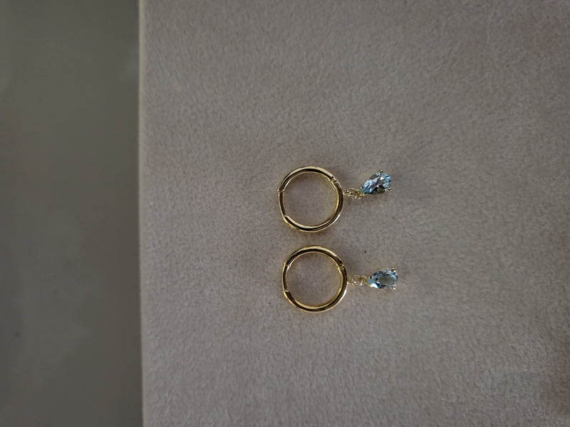 Small circle earring